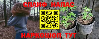 гашик Балаково