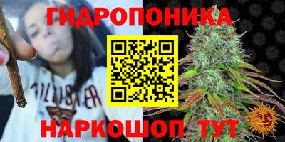 гашик Балаково