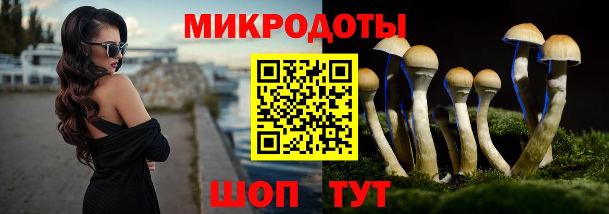 Псилоцибиновые грибы Cubensis Выкса